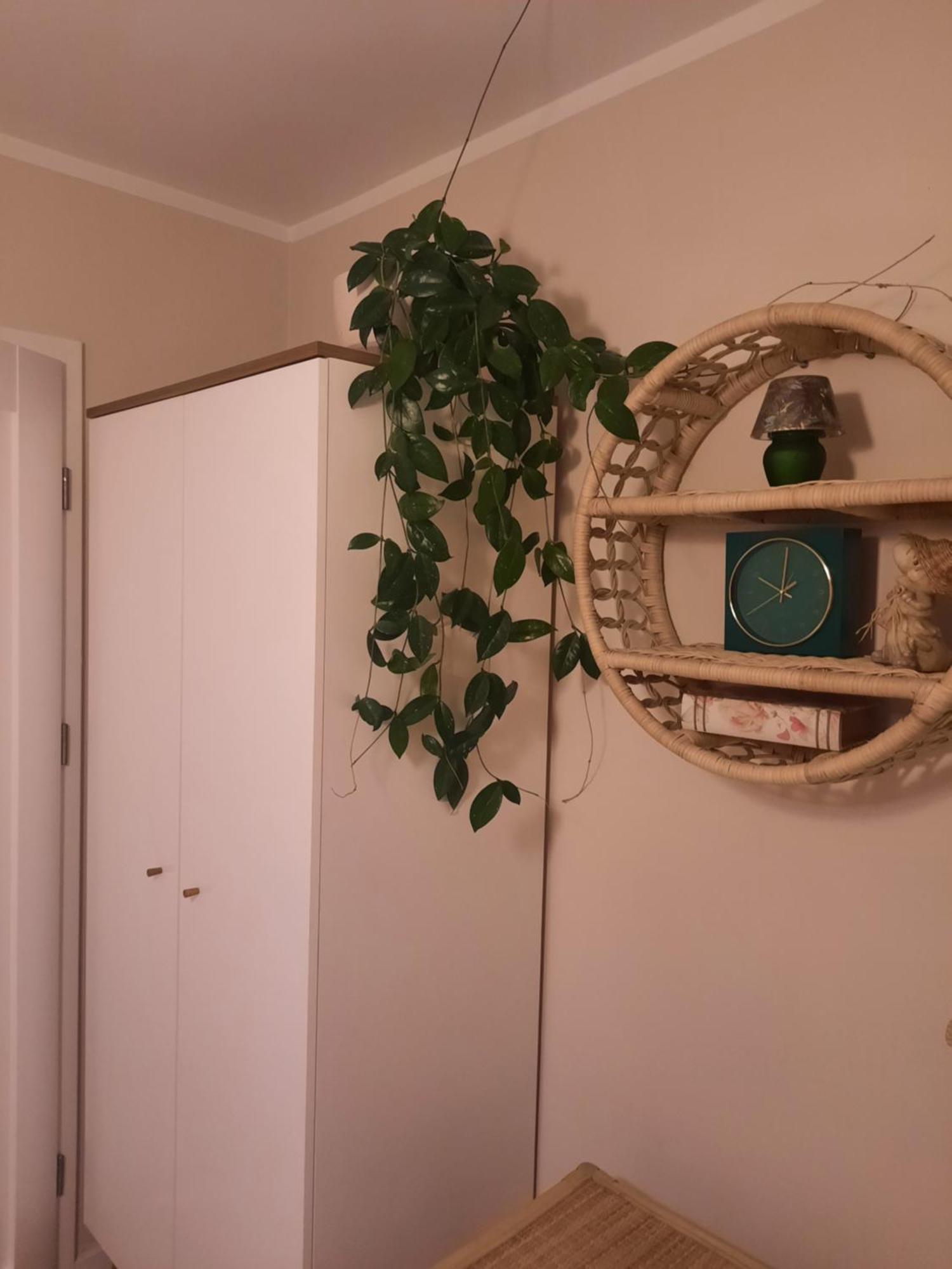 Apartament Jak W Domu Zamość Kültér fotó