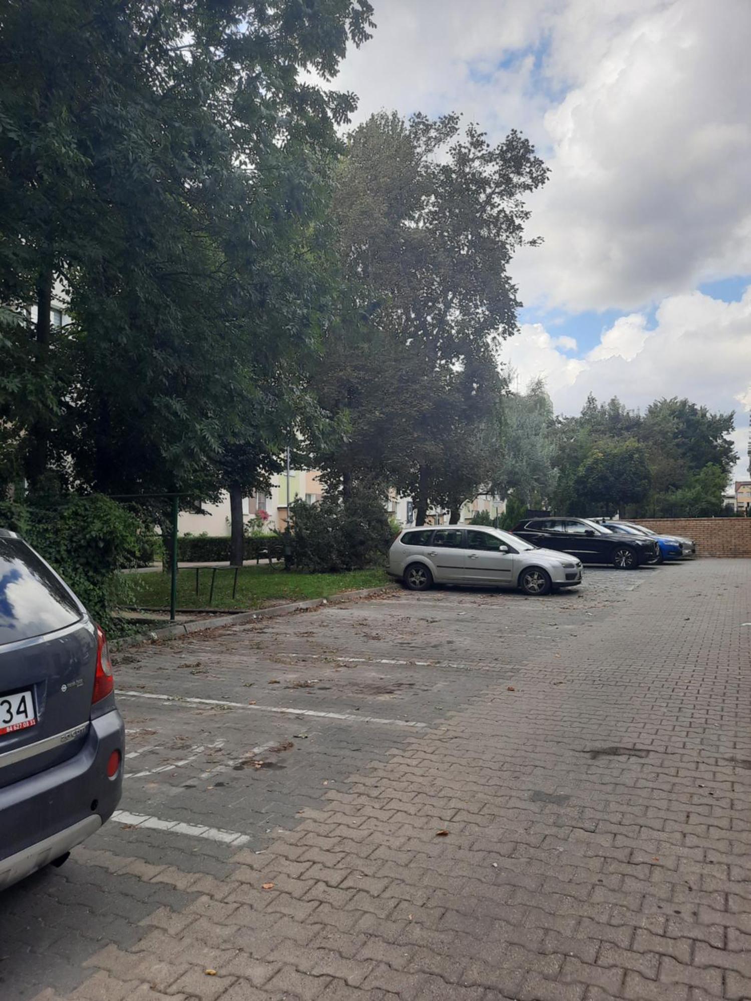 Apartament Jak W Domu Zamość Kültér fotó