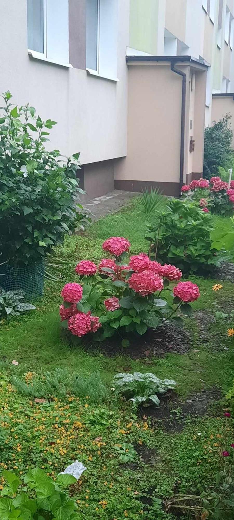 Apartament Jak W Domu Zamość Kültér fotó